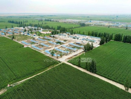 鄂尔多斯试点引领！内蒙古“1+6+N”智慧工地监管体系上线，513个项目纳入管控